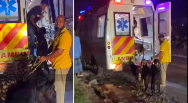 daily-fulki